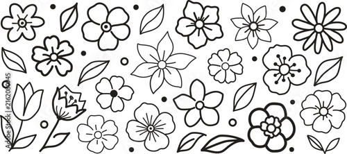 Set of handdrawn floral elements and leaves, black and white doodle style