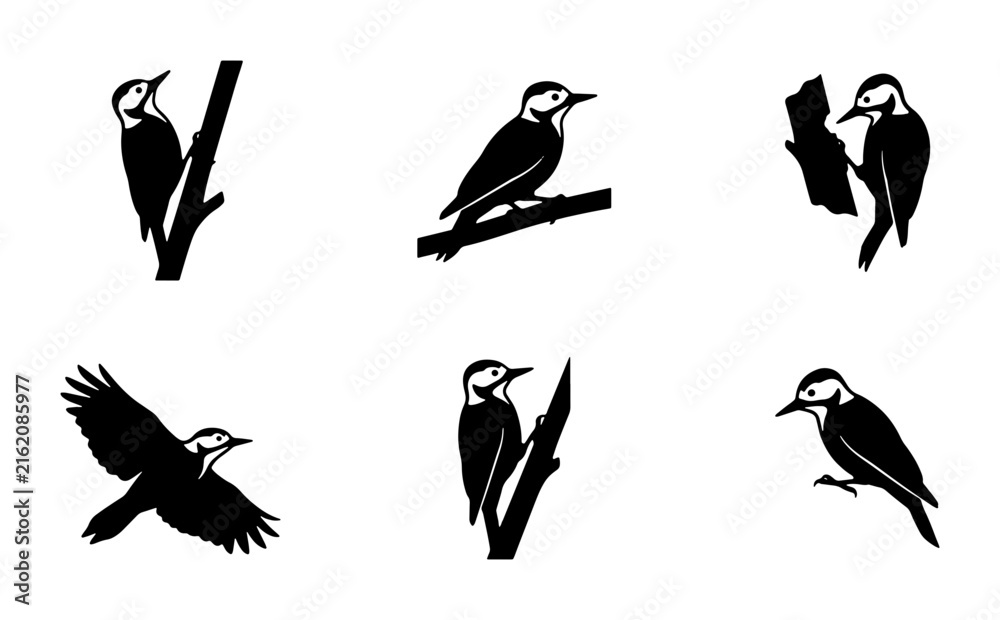 Fototapeta premium Woodpecker Vector Icons Set, Bird Silhouettes Collection, Nature Wildlife Graphics, Forest Fauna Illustrations