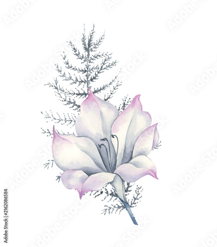 Watercolor composition of a white flower with blue foliage and a branch of an evergreen plant.