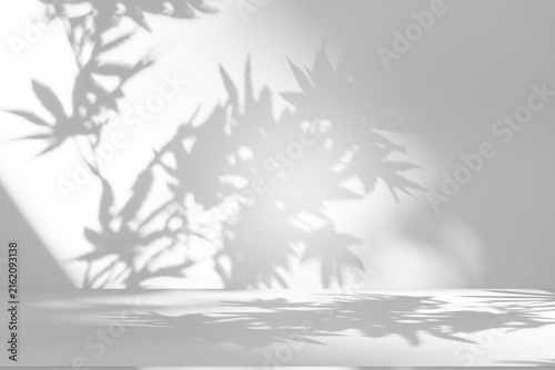 Wall interior background, studio and backdrops show products.with shadow from window color white and grey. background for text insertion and presentation product	