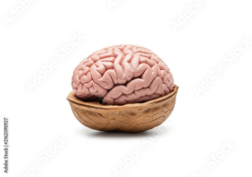 Human brain inside a walnut shell on white background