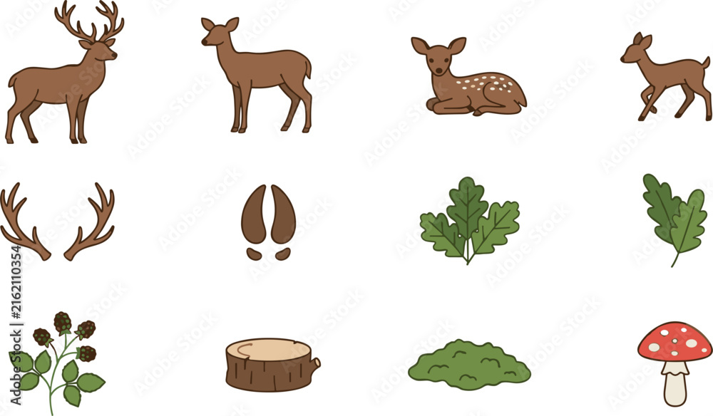 Fototapeta premium Cute Woodland Deer Vector Illustration Set with Antlers Footprint Mushroom Oak Leaves and Tree Stump Graphics Isolated on White Background for Kids Designs