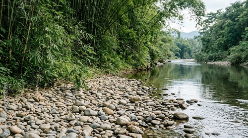 Tranquil River Flowing Through Lush Bamboo Forest with Pebble Stone Bank Scenic Tropical Nature Landscape View