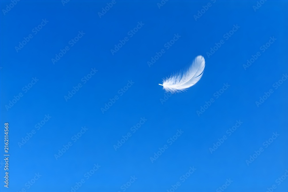 Fototapeta premium 青空に舞い落ちる一枚の白い羽根 White Feather Falling in Clear Blue Sky