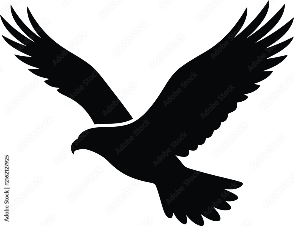 Fototapeta premium Silhouette of a soaring eagle with wings spread wide against a white background