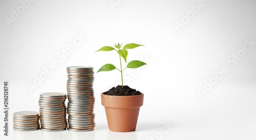 Minimalist growth metaphor with stacked coins and young plant in terracotta pot