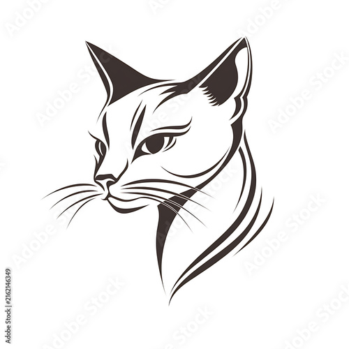 Cute Cat Character Illustration