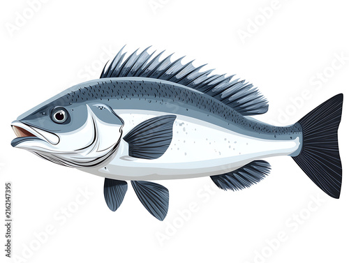 Colorful Fish Illustration Isolated on White Background