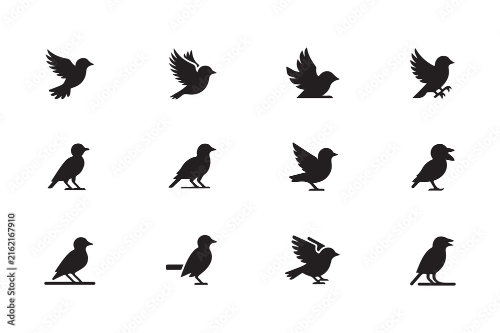 Naklejka premium Bird Species Silhouette Collection with Different Poses
