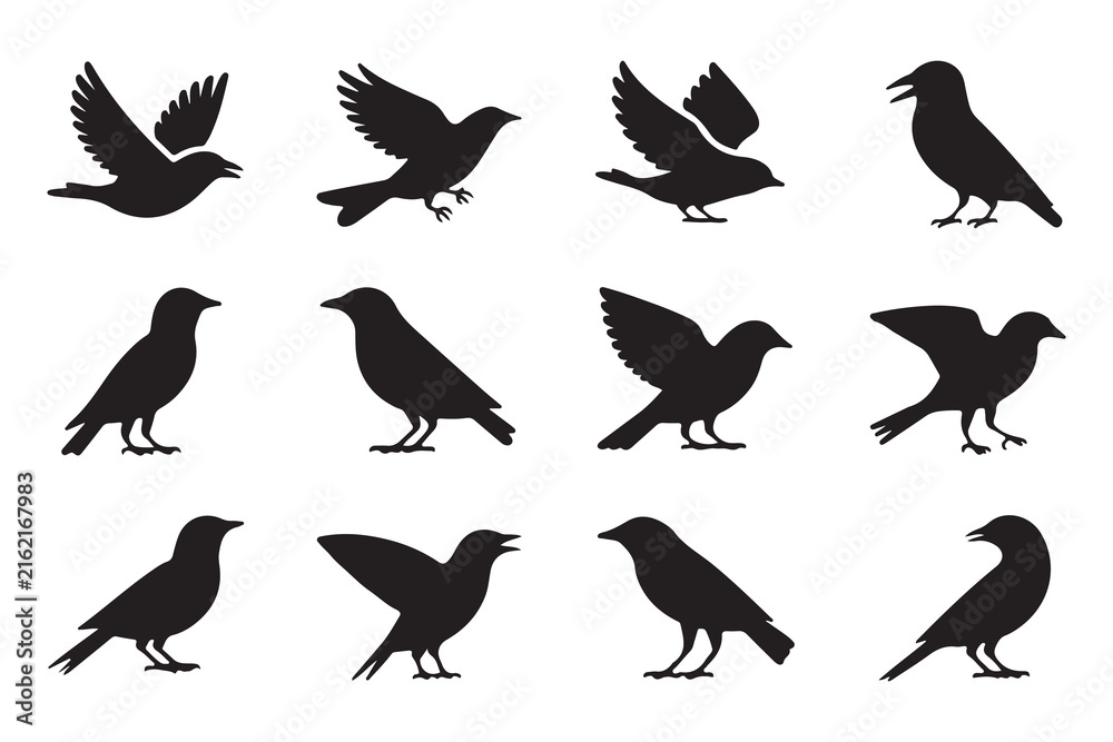 Naklejka premium Avian Wildlife Silhouette Set with Flying Birds