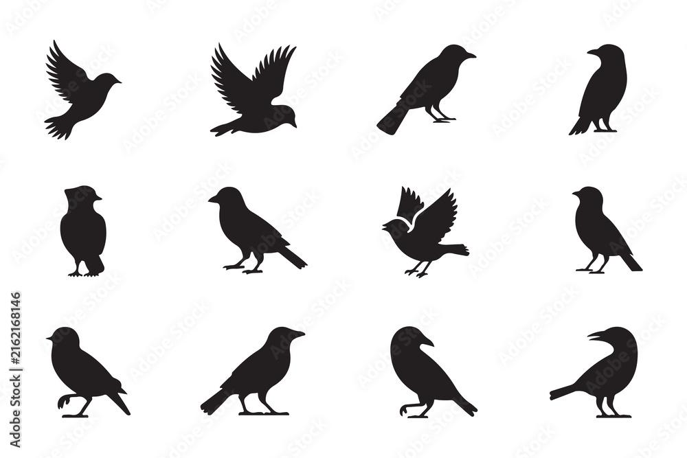 Naklejka premium Flying Bird Black Silhouette Collection