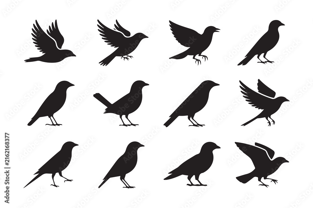 Naklejka premium Flying and Standing Bird Silhouette Collection