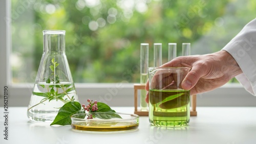 Scientist examining green botanical extract sample within laboratory setting near window with natural daylight illumination with displays scientist holding