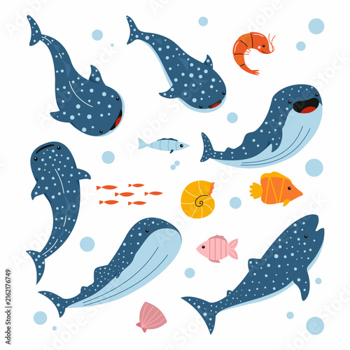 Cute whale shark on white background. Illustration in cartoon style.
