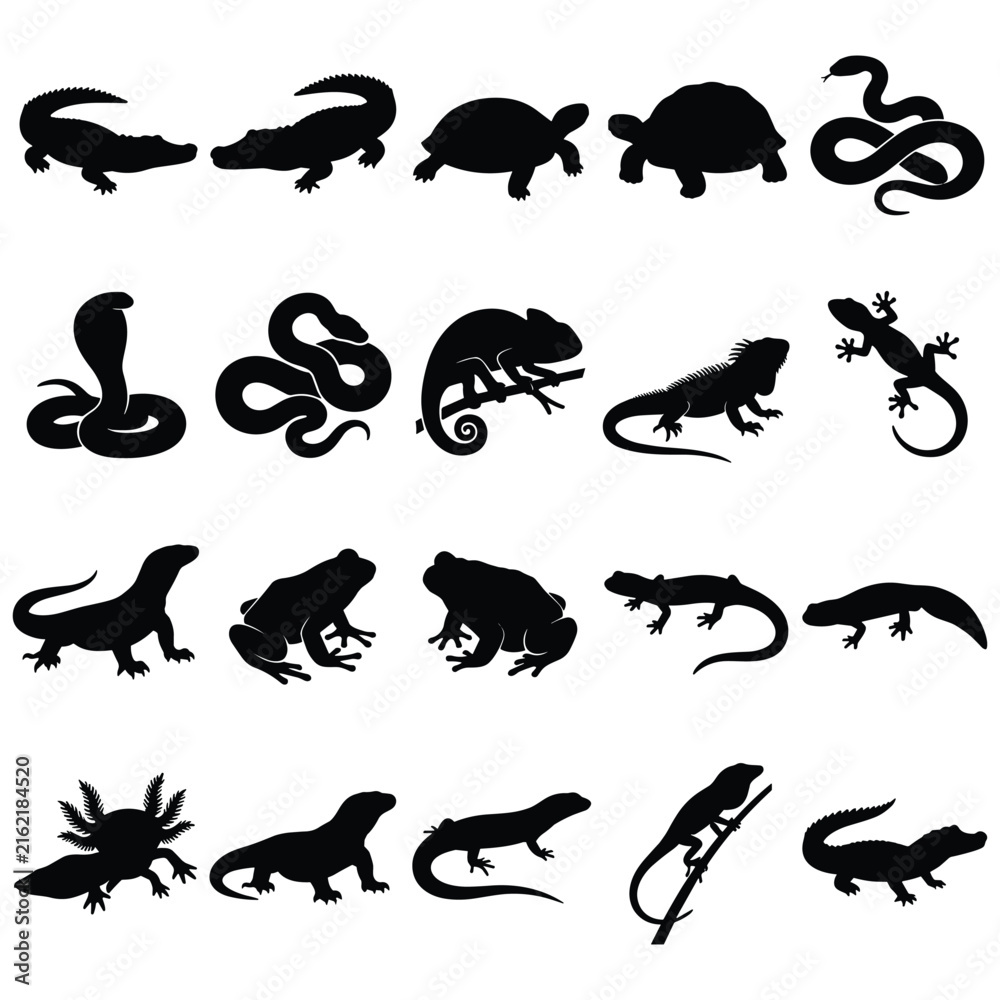 Obraz premium Reptile and amphibian silhouettes set including snakes lizards turtles frogs and crocodiles