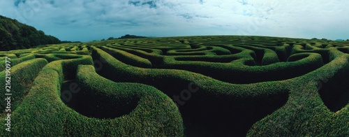 Lush green hedges form a vast maze