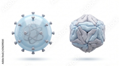 Enveloped versus non-enveloped virus comparison white background