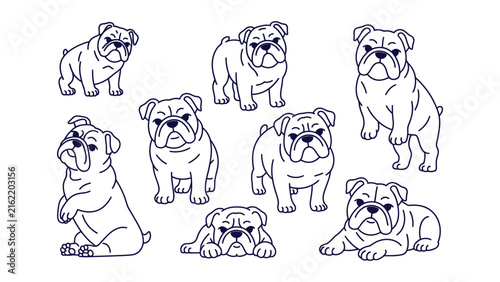 Set of cute cartoon bulldog dogs in various poses isolated on white background.
