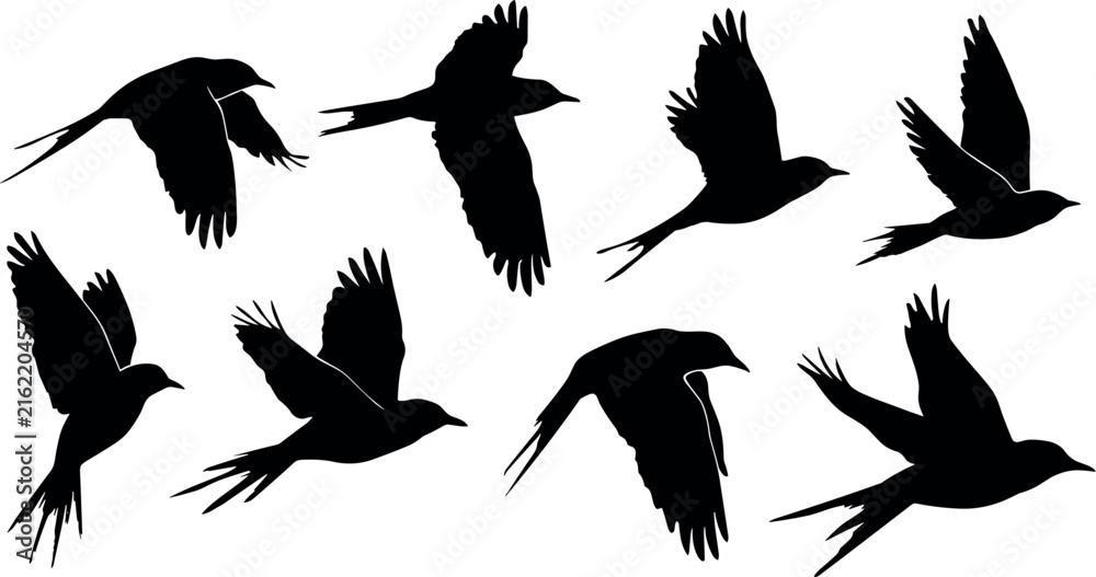 Naklejka premium Flying Birds Silhouette Vector Set Featuring Swallows and Crows in Flight Poses for Tattoo Designs, Wall Art, Stickers, and Minimalist Graphic Templates