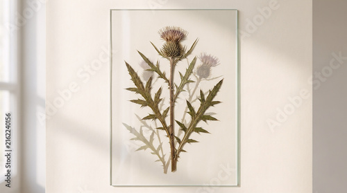 A pressed botanical specimen of a thistle plant symbol framed in glass on a neutral wall showcasing minimalist nature art for interior home decoration