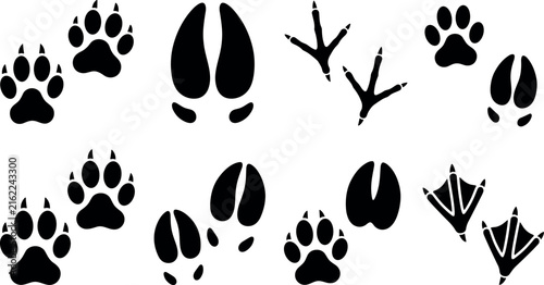 Fotografie Wildlife Animal Track and Bird Paw Print Silhouette Icon Set Featuring Wolf Claw