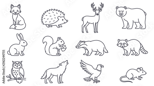 Collection of woodland animal line illustrations on a white background
