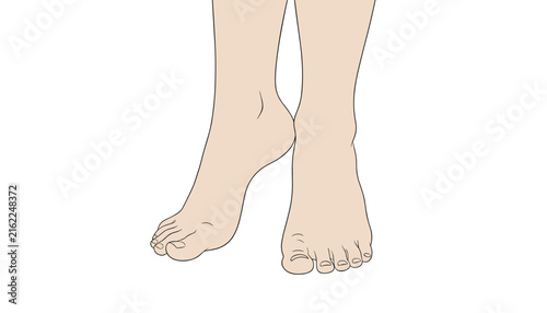 Close up flat illustration of a pair of bare human feet standing gracefully on tiptoes on white background.