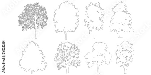 Collection of hand drawn trees with different shapes design . Architectural landscape design elements, vector forest garden section illustration