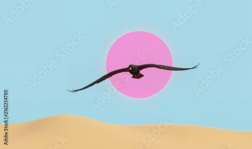 pink sun beach bird