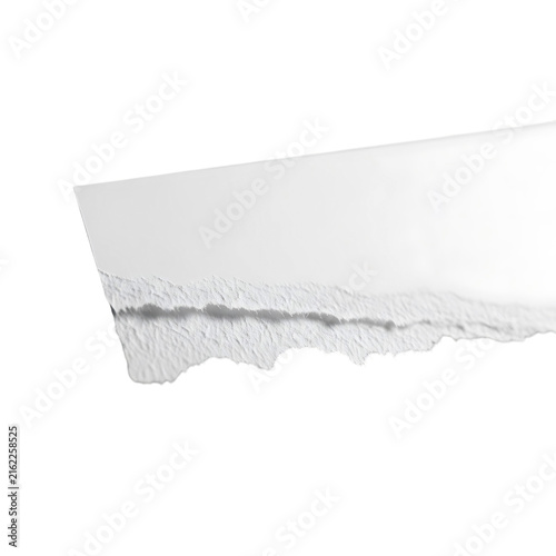 White torn paper strip for creative graphic as isolated object