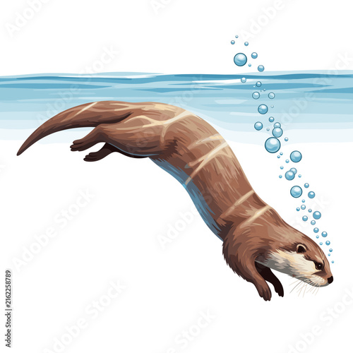 Detailed illustration of an otter diving underwater