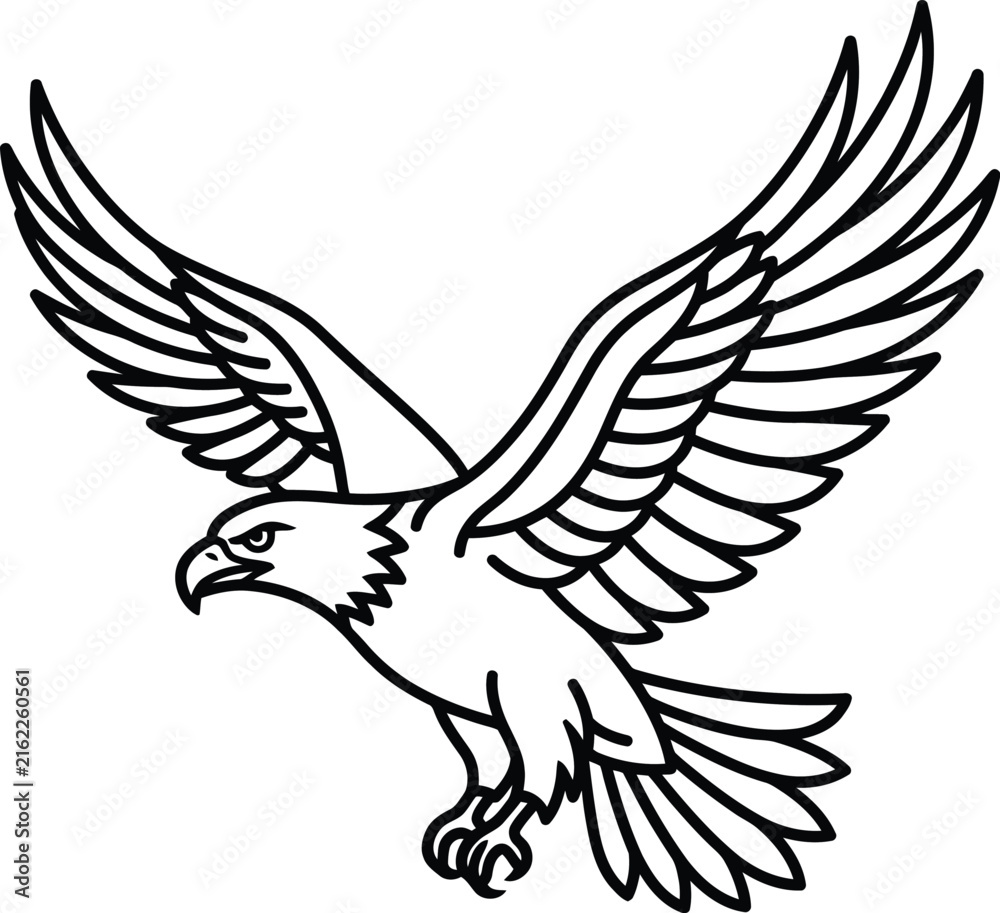 Fototapeta premium Eagle flying with wings spread, outline illustration