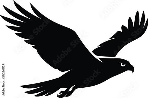 Silhouette of a hawk in flight against a white background