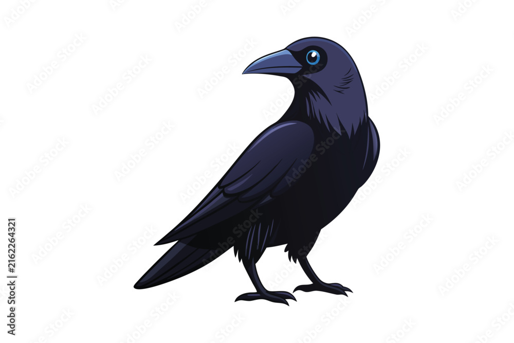Fototapeta premium Black crow bird vector illustration isolated on white background