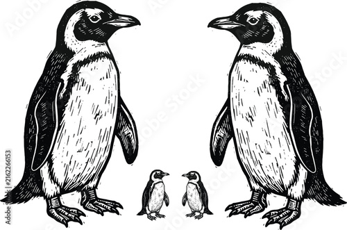 Black and white penguin family illustration with two adults and chicks in vintage engraved wildlife style