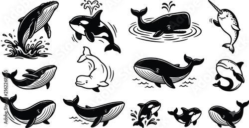 Marine Mammal Silhouette Collection with Whale Dolphin Orca and Narwhal Vector Illustration Set