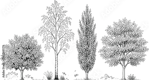 Hand drawn tree collection with diverse leafy trees and shrubs isolated on white background for landscape design