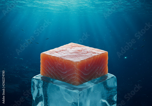 Frozen salmon cube underwater