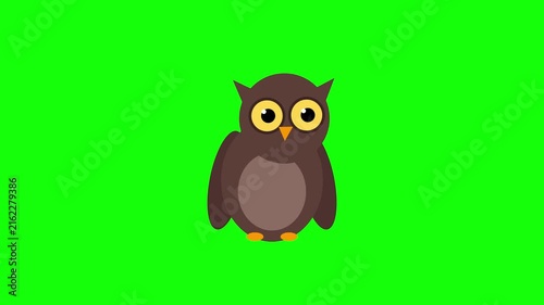 Cartoon Owl Blinking Eyes Animation on Green Screen Background Chroma Key.