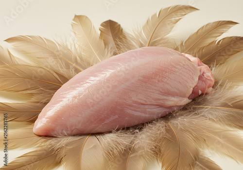 Raw turkey breast on feathers