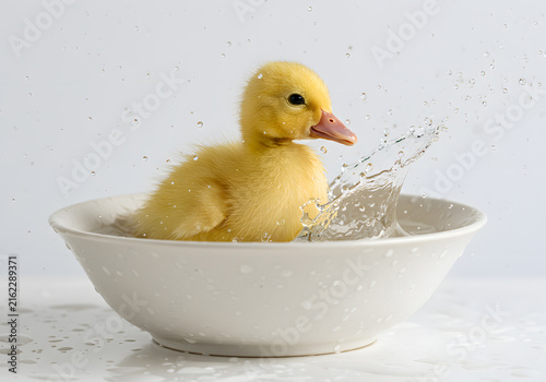 Yellow duckling splashing in bowl