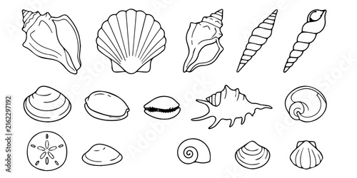 Seashell and Ocean Wave Coastal Collection
