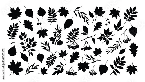 Bild auf Leinwand Autumn leaves silhouette vector illustration bundle collection set featuring var