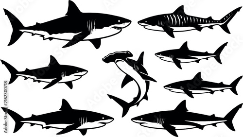 Various shark silhouettes in a clean white background during daylight with minimal concept