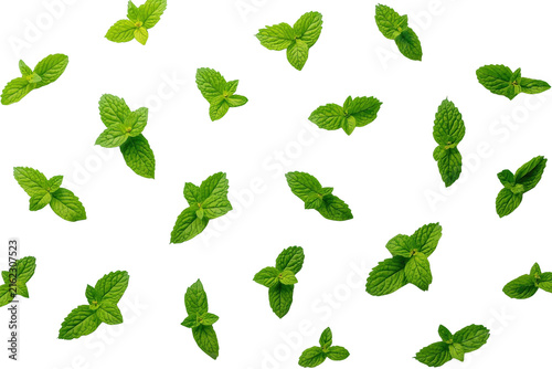Scattered fresh mint leaves and sprigs pattern