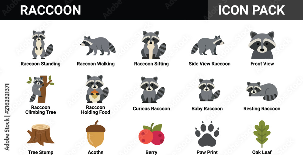 Obraz premium Collection of Raccoon Icons Showing Various Poses and Forest Elements in Flat Style