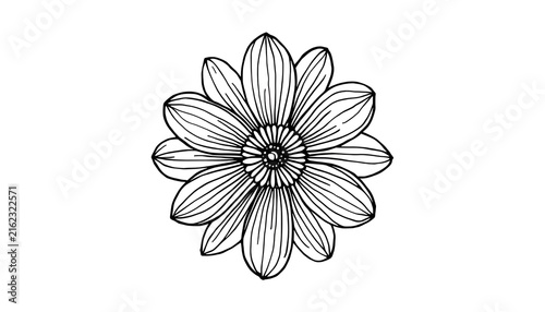 Hand Drawn Flower Doodle Black Line Art Isolated on Transparent Background, Simple Botanical Floral Sketch Illustration