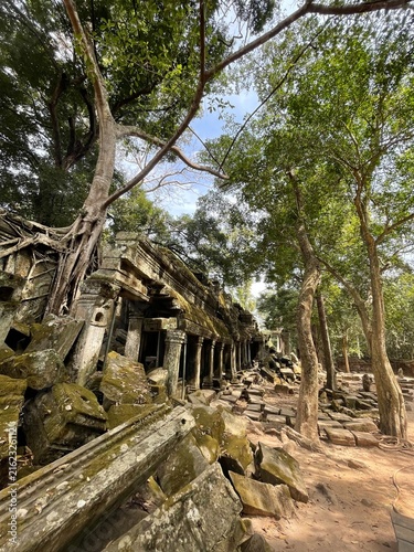 Photography ta prohm temple cambodia