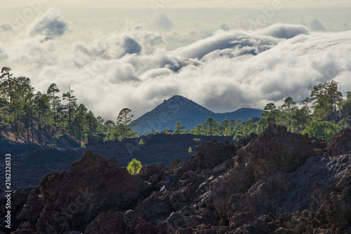 Paysage volcanique à Ténérife