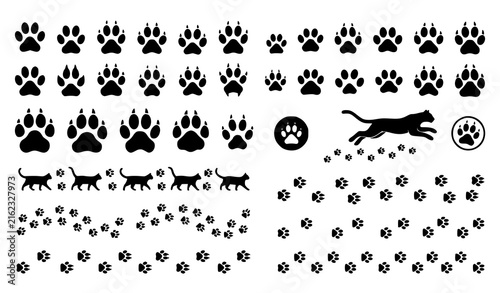 Canvas Print Cat lion and wild feline paw trace vector collection with animal footprint paths